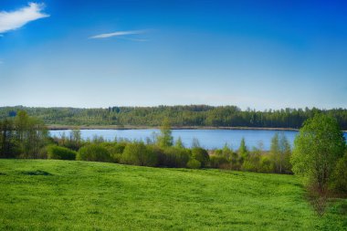 Açık yaz dağ gölü ile orman