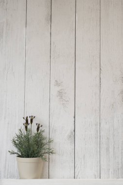 bir tencerede bir ahşap duvar çiçek.