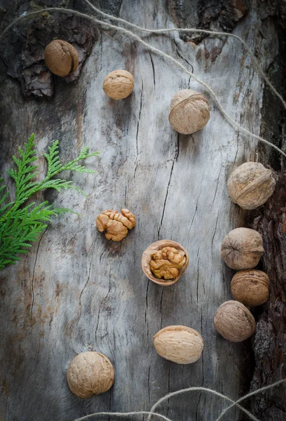 Walnuts on aged wood from a branch of the thuja — Stock Photo, Image