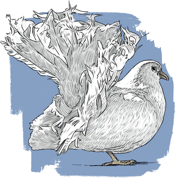 Skizze einer weißen Taube — Stockvektor