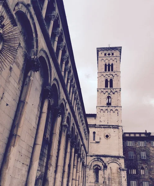 Věž katedrály San Michele in Foro v Lucca — Stock fotografie
