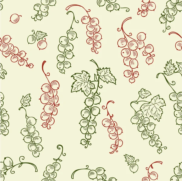 Modèle du groseille rouge — Image vectorielle
