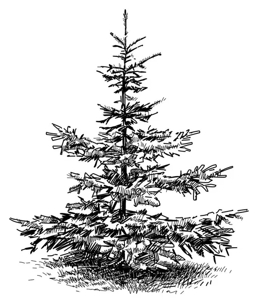 robot resmini küçük köknar ağacı