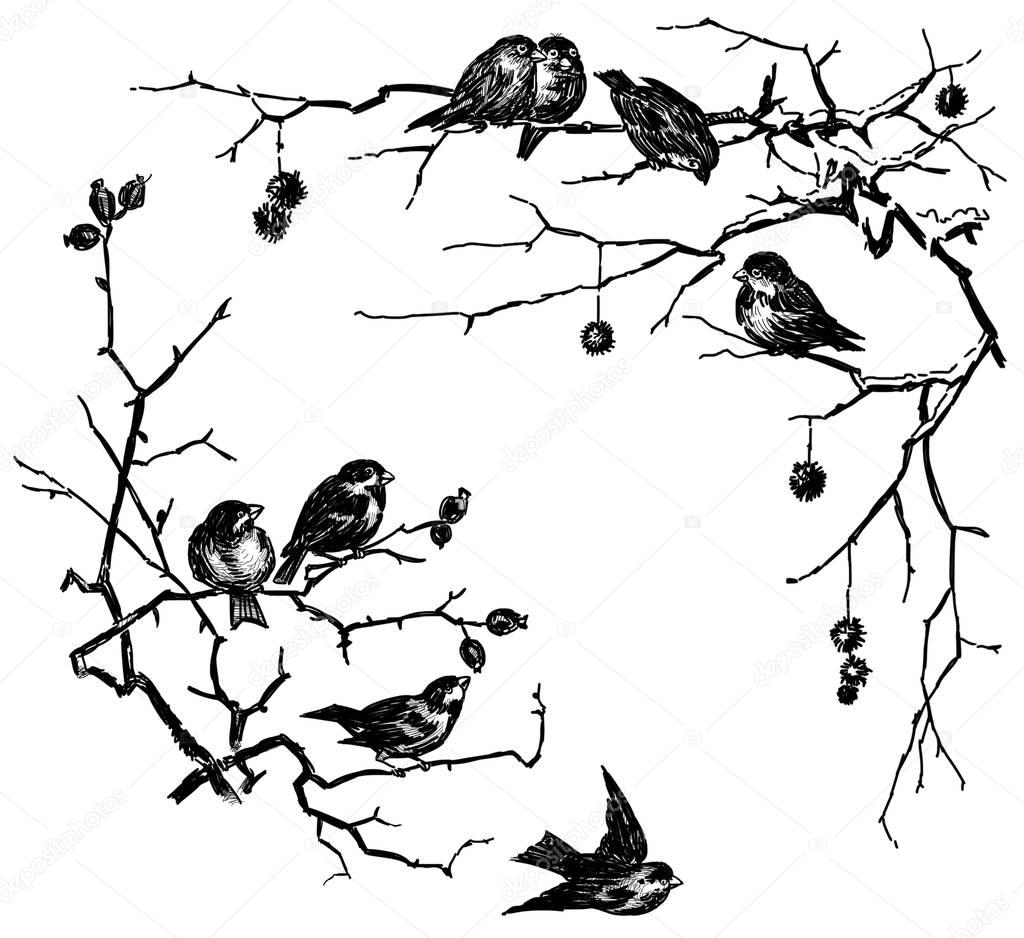 birds on the tree branches in december