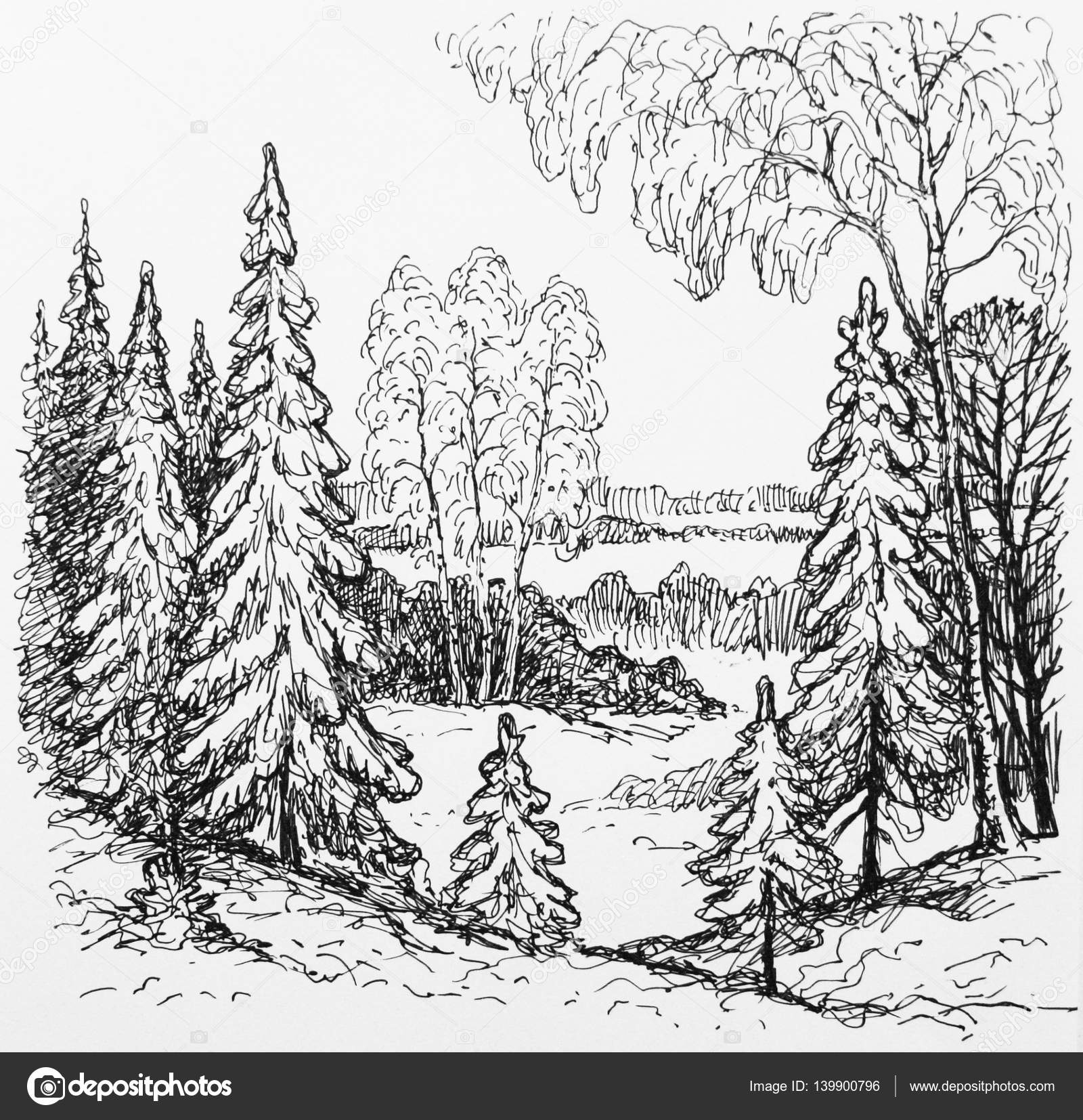смешанный лес картинки карандашом