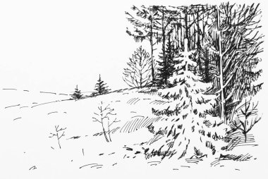 robot resmini kış ormanda küçük köknar ağacı