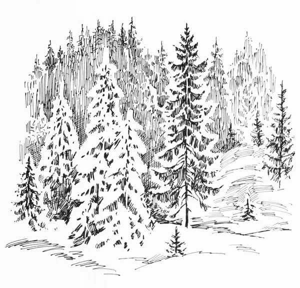 Skiss av frysta snöiga skogen — Stockfoto