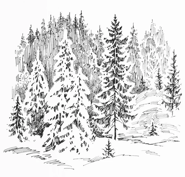 sketch of the frozen snowy forest