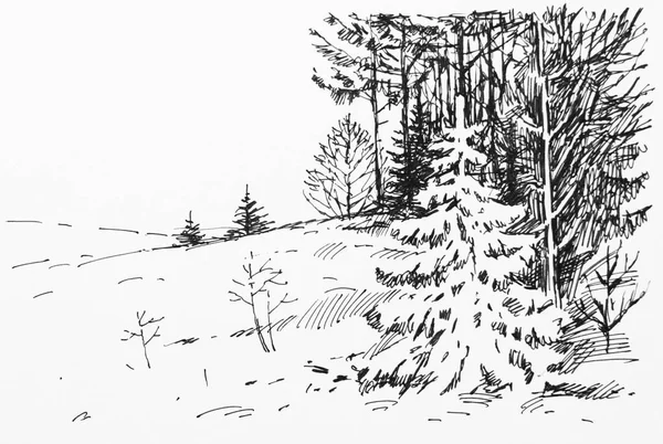 robot resmini kış ormanda küçük köknar ağacı