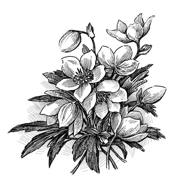 Sketsa dari karangan bunga musim semi — Stok Foto