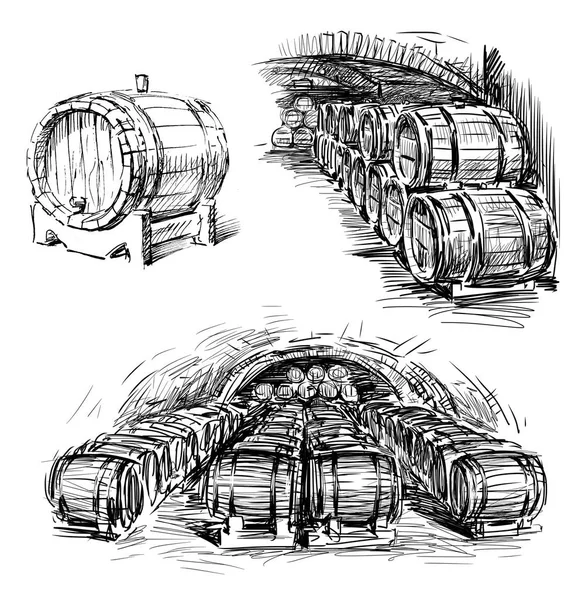 Bocetos de las barricas de vino —  Fotos de Stock