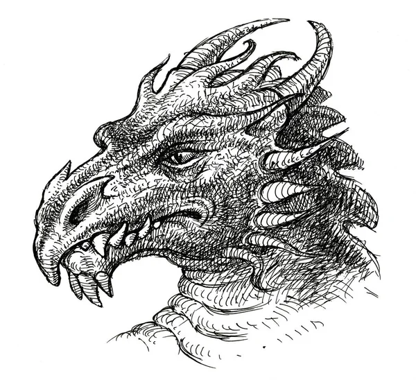 Croquis d'une tête de dragon fabuleuse — Photo