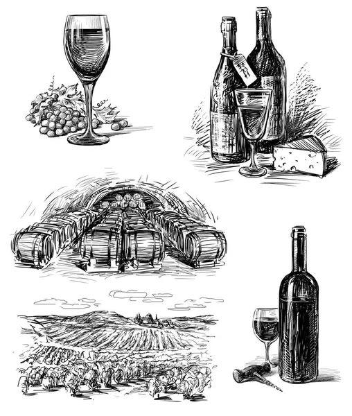 Croquis des photos de vin de raisin — Photo