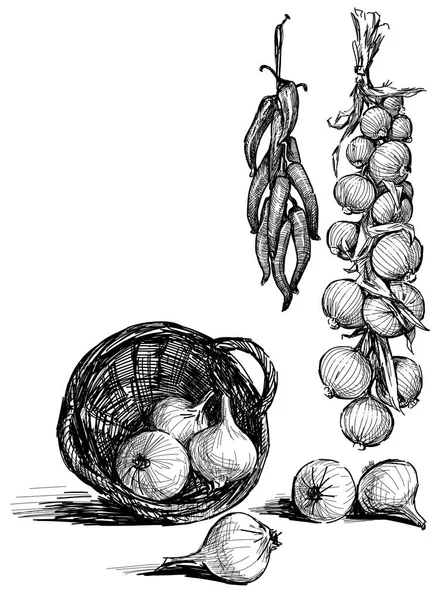 Σκίτσα από το κρεμμύδι και την πιπεριά — Φωτογραφία Αρχείου