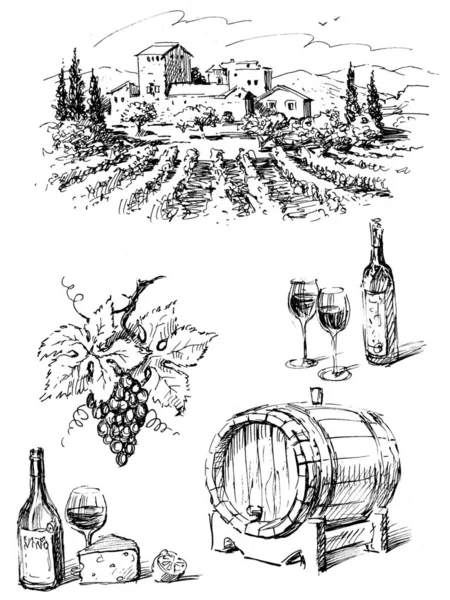 Скетчи о виноградном вине — стоковое фото