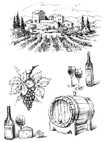 포도 와인에 대 한 스케치 — 스톡 사진