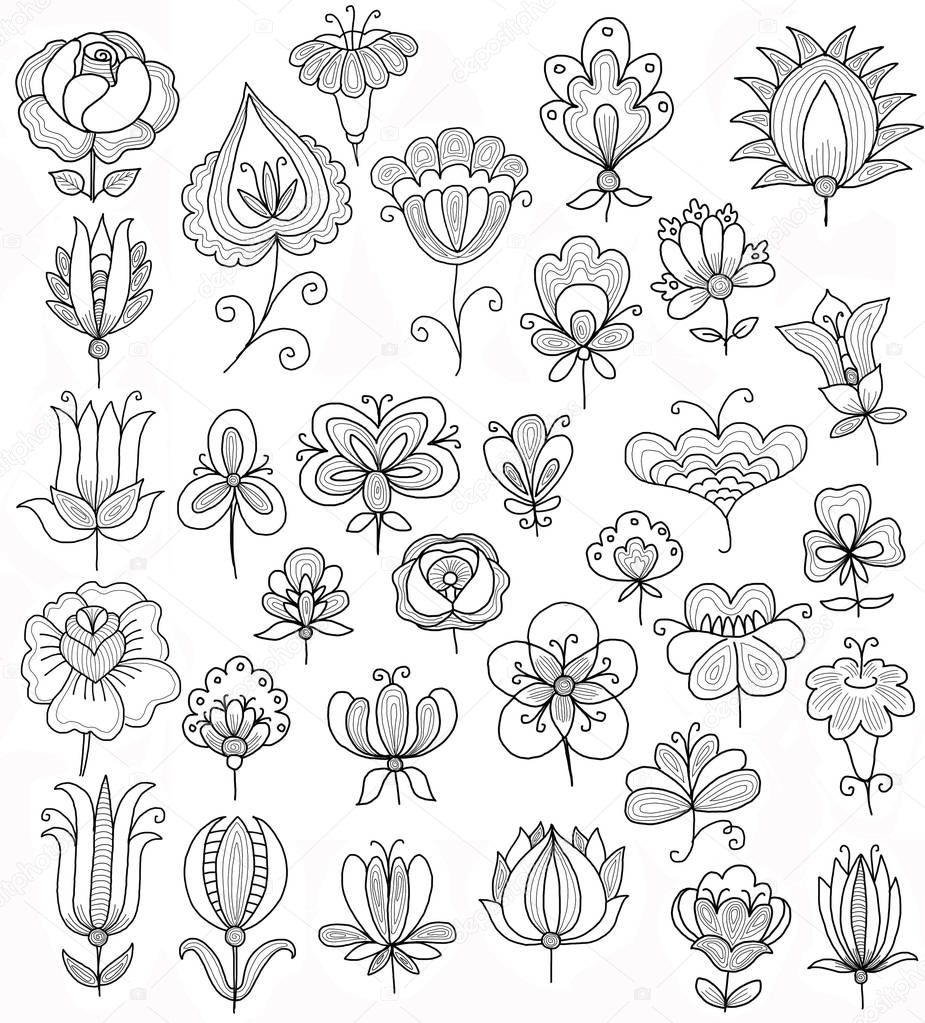 hand-drawings of the flowers doodles 