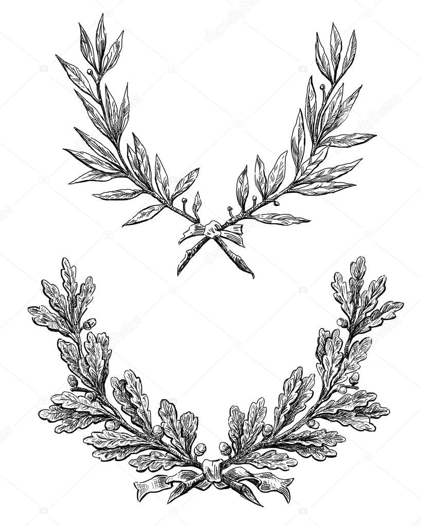 Sketches of the oak and laurel branches