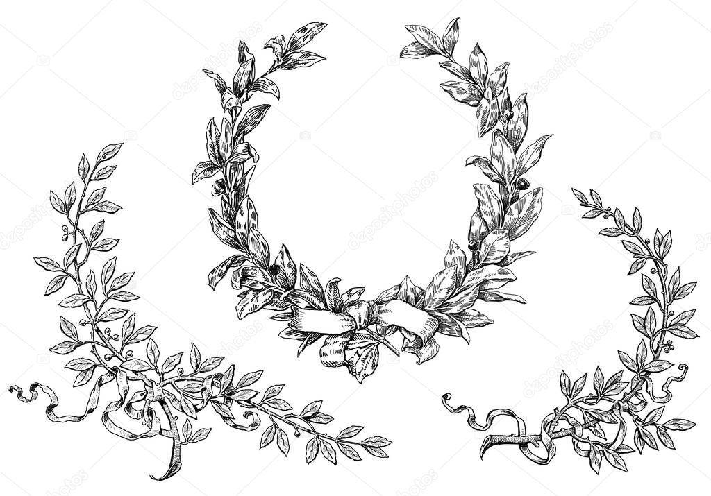 sketches of laurel wreath and branches