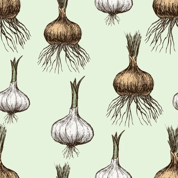 Tumbuh bawang bombay dan bawang putih - Stok Vektor