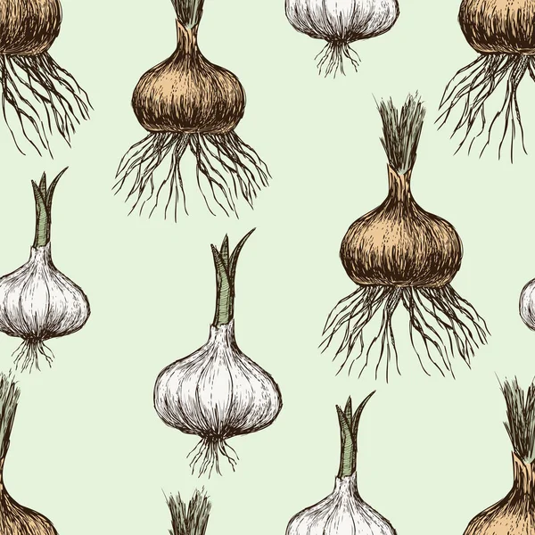 Sprouted onion and garlic — Stock Illustration Sprouted onion and garlic Stock Vector