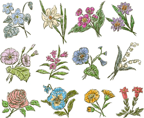 Bocetos de las diferentes flores — Vector de stock