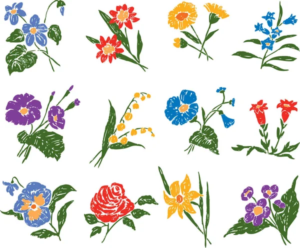 Conjunto de las diferentes flores — Archivo Imágenes Vectoriales