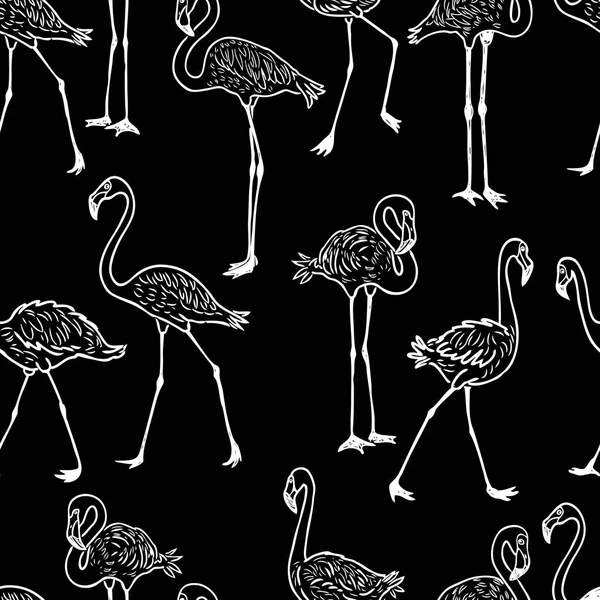Çizilmiş flamingolar sürü paterni