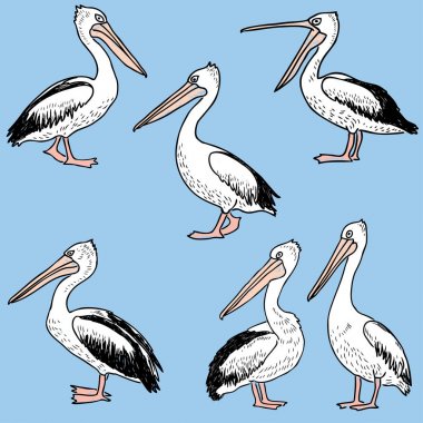 Çizilmiş karikatür Pelikan el