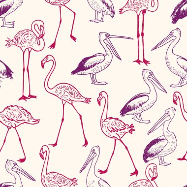 çizgi film Pelikan ve flamingolar desen