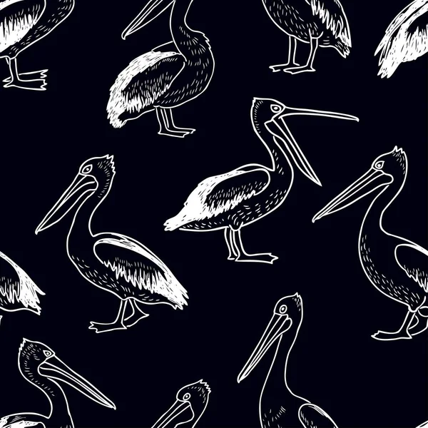 desen çizilmiş Pelikan 