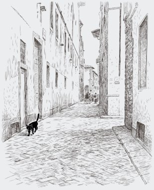 Kara kedi yürüyüşler eski şehir