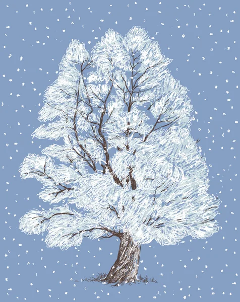 Ιτιά δέντρο το χειμώνα — Διανυσματικό Αρχείο