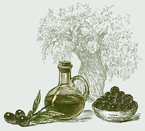 Aceitunas y aceite de oliva — Vector de stock