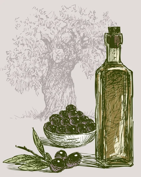 Дозрілі оливки та оливкова олія — стоковий вектор