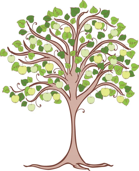 Яблоня Зелеными Яблоками — стоковый вектор