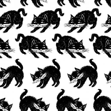 Desen siyah kedi