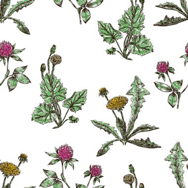 dandelions ve yonca sorunsuz arka plan