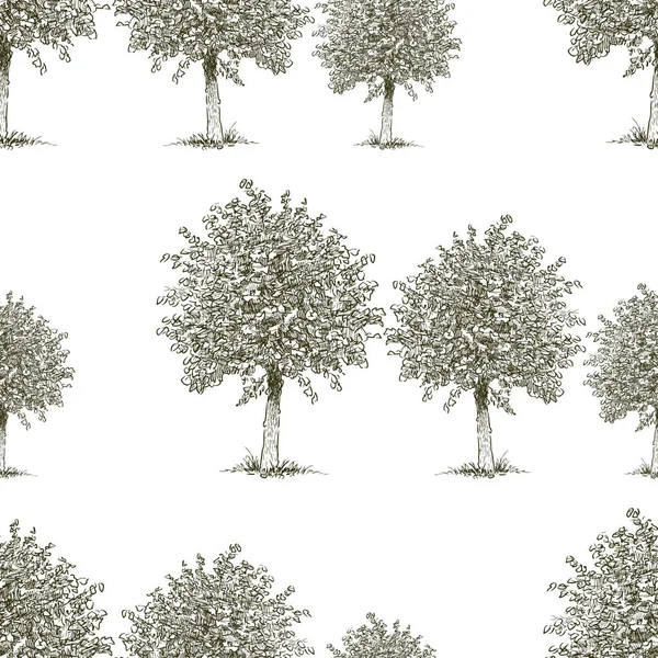 Узор Лиственных Деревьев — стоковый вектор