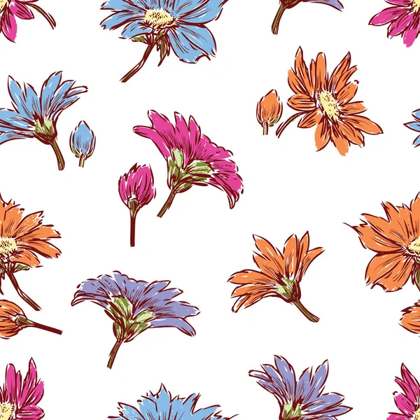 花园雏菊的花序形态 — 图库矢量图片