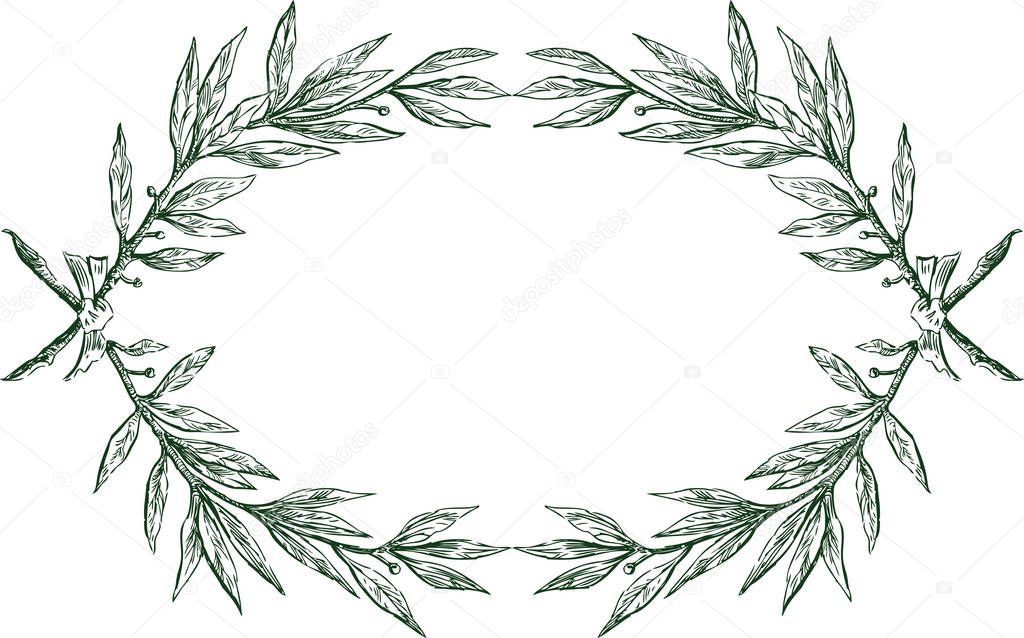 Vector decorative frame from sketches laurel branches with ribbon