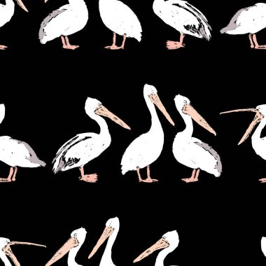 Pelikanların çizimlerinin kusursuz arkaplanı