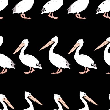 Yürüyen pelikanların kusursuz çizimleri