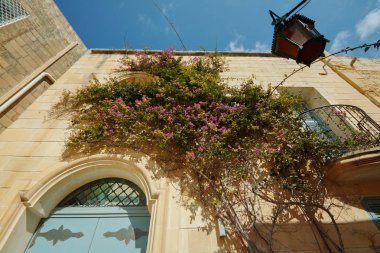 Pitoresk cephesi ile mavi kapı ve renkli mor Begonviller çiçek Mdina, Malta eski müstahkem şehir içinde. Malta mimarisi