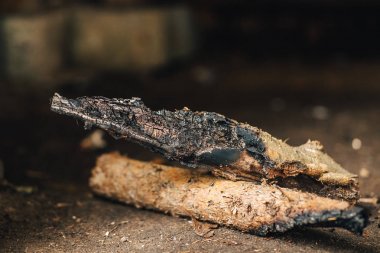 Kömürleşmiş odun soğuk