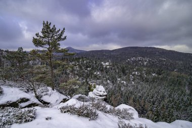 Jonsdorf, Muehlsteinbrueche, Saksonya