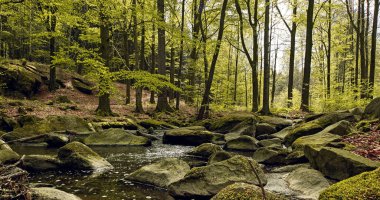 Neusalza Spremberg Spree in saxon in spring
