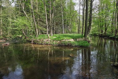 Neusalza Spremberg Spree in saxon in spring