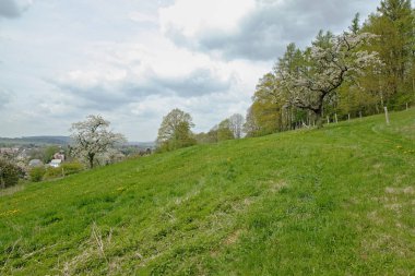 view to Neusalza Spremberg