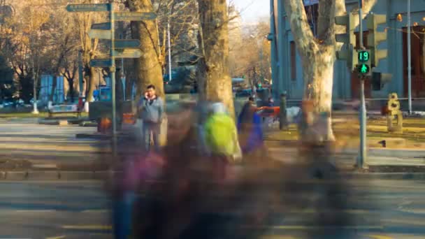 Pessoas desfocadas atravessam a rua. Tempo Lapse vídeo — Vídeo de Stock